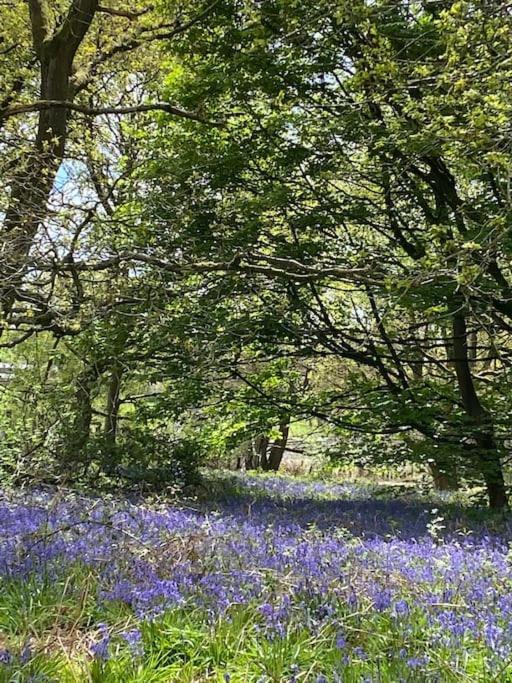 North Cottage Marlfields Hall, Stunning Location Adlington Esterno foto